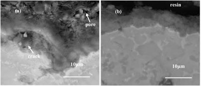 Microstructure and Oxidation Behavior of NiCoCrAlY Coating With Different Sm2O3 Concentration on TiAl Alloy